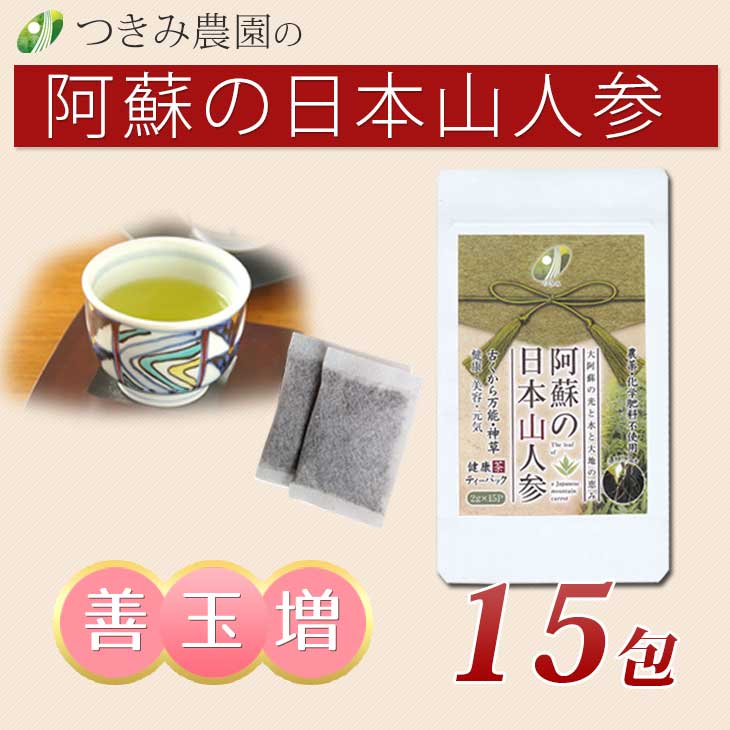 【60歳応援商品】阿蘇の日本山人参　健康茶ティーパック（15P）