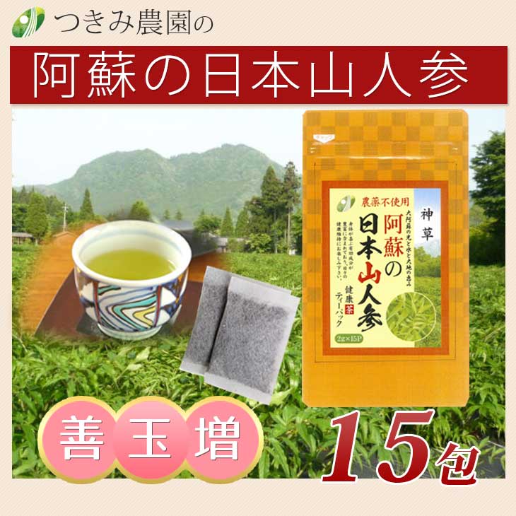 【60歳応援商品】	健康茶　15P（ティーパック）阿蘇の日本山人参